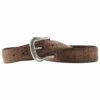 Ariat Men's Basic Adobe Clay Western Belt -Wrangler Store A10011717